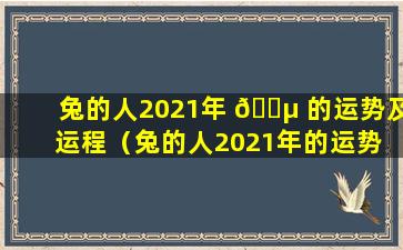 兔的人2021年 🌵 的运势及运程（兔的人2021年的运势 🐵 及运程怎么样）